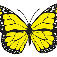 Fundraising Page: Erin Gudino